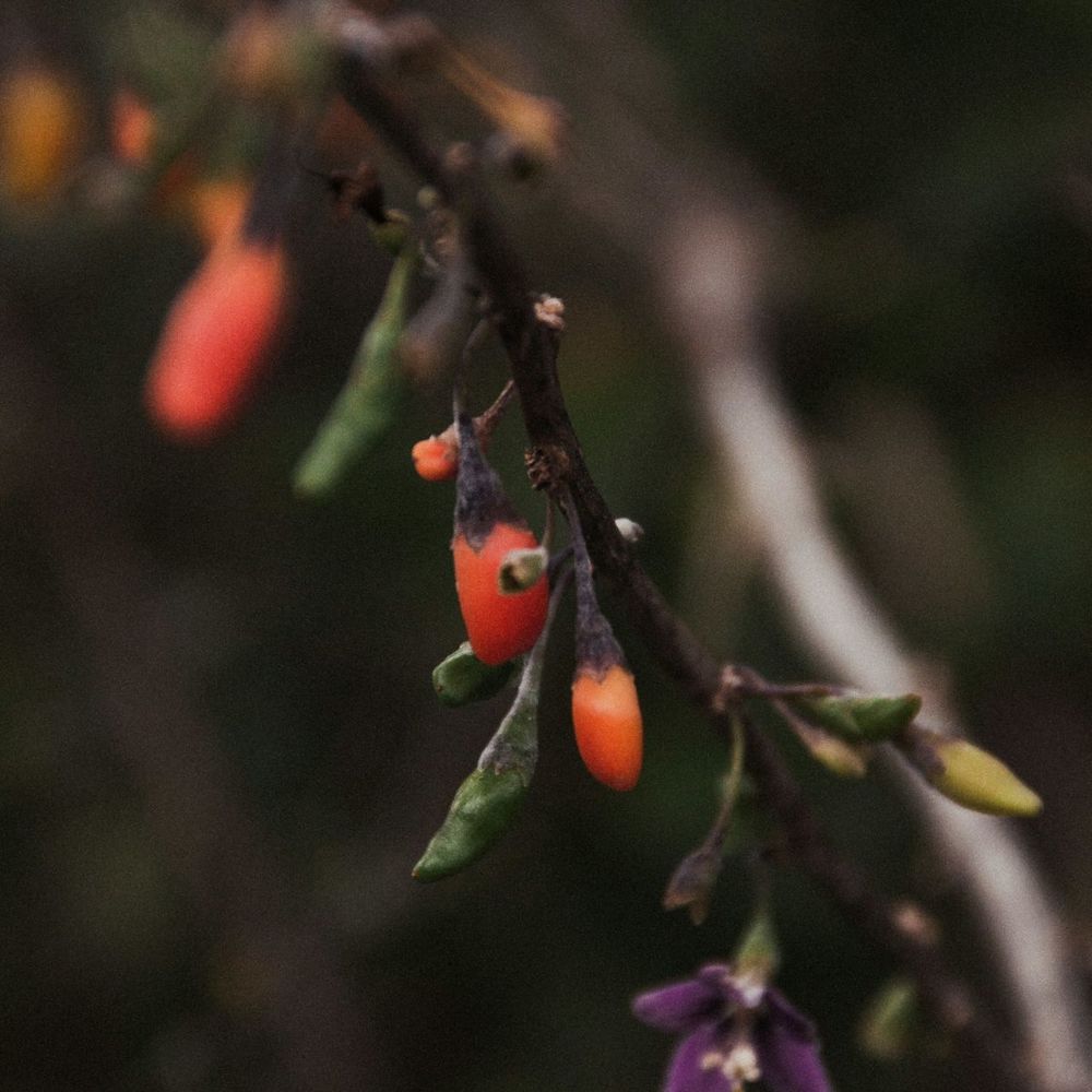 ben-kupke-4rGYZcyv5MQ-unsplash ben-kupke-4rGYZcyv5MQ-unsplash